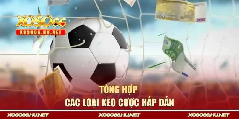 Tổng hợp các loại kèo cược hấp dẫn cho game thủ